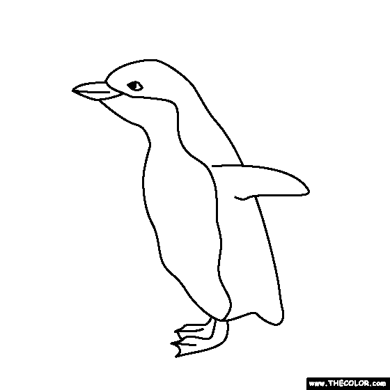Fairy Penguin coloring #1, Download drawings