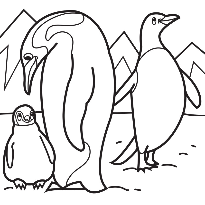 Fairy Penguin coloring #20, Download drawings