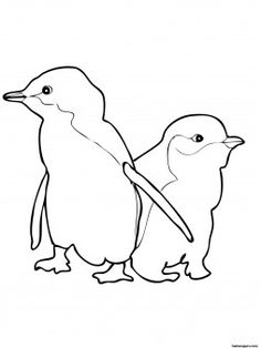 Fairy Penguin coloring #6, Download drawings