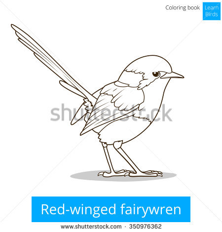 Fairy-wren coloring #18, Download drawings