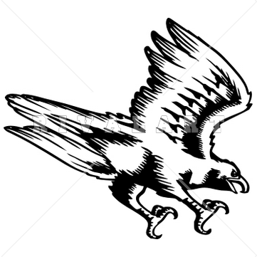 Falcon clipart #6, Download drawings