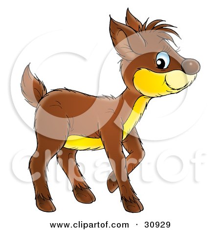 Fawn clipart #8, Download drawings