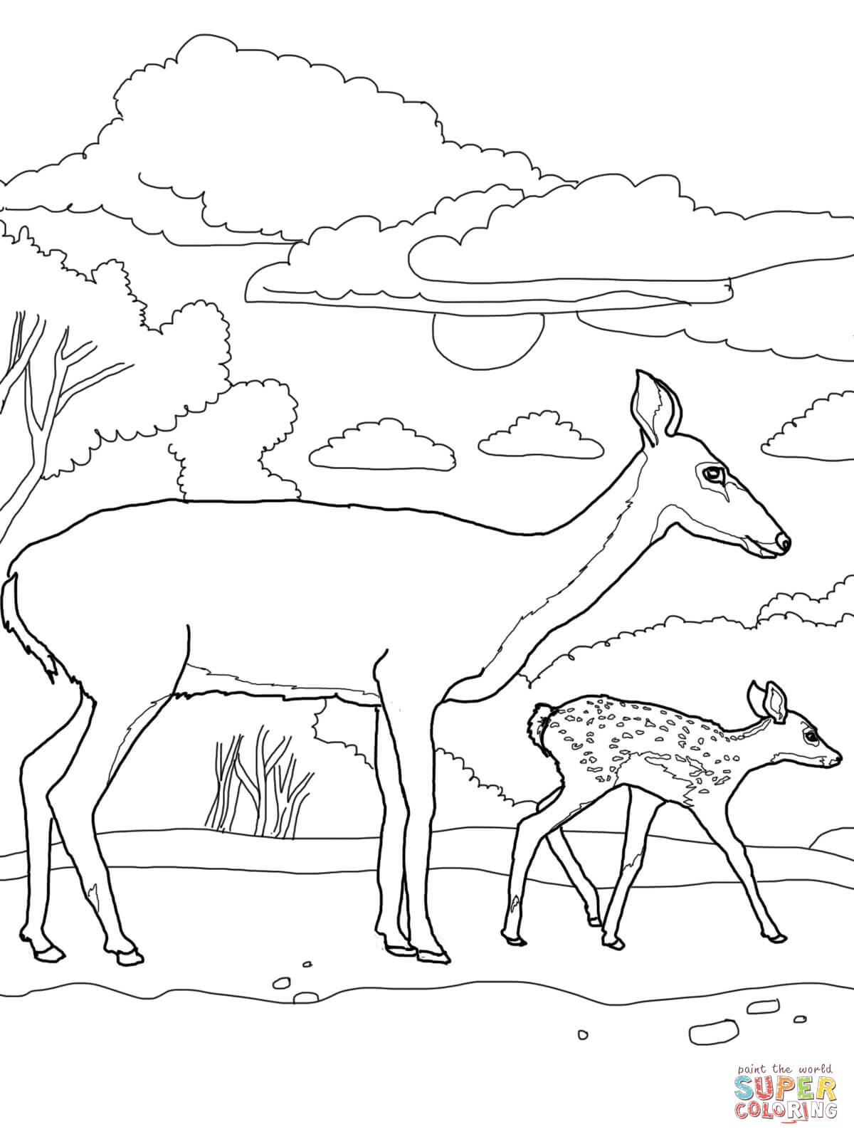 White-tailed Deer coloring #13, Download drawings