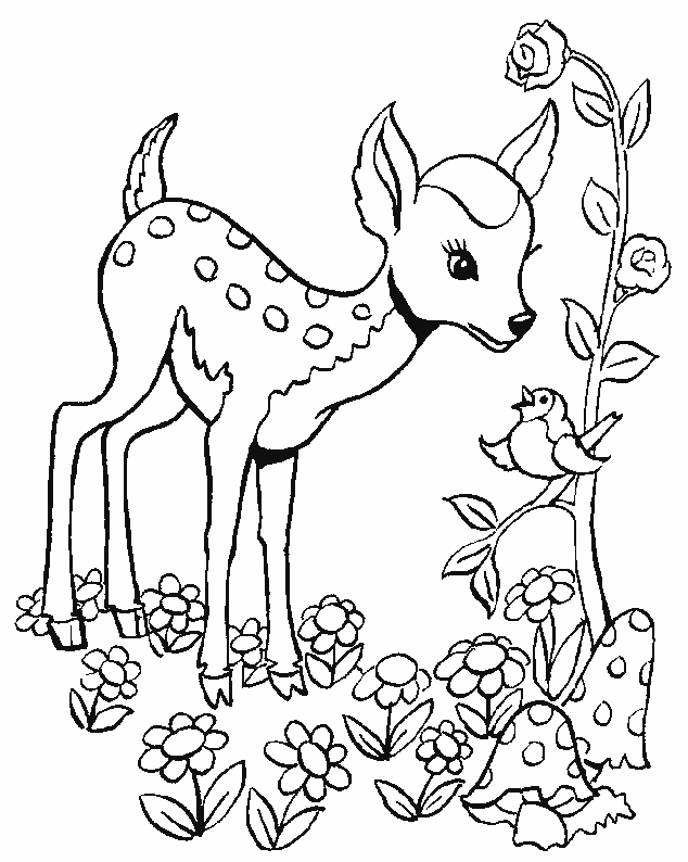 Fawn coloring #15, Download drawings