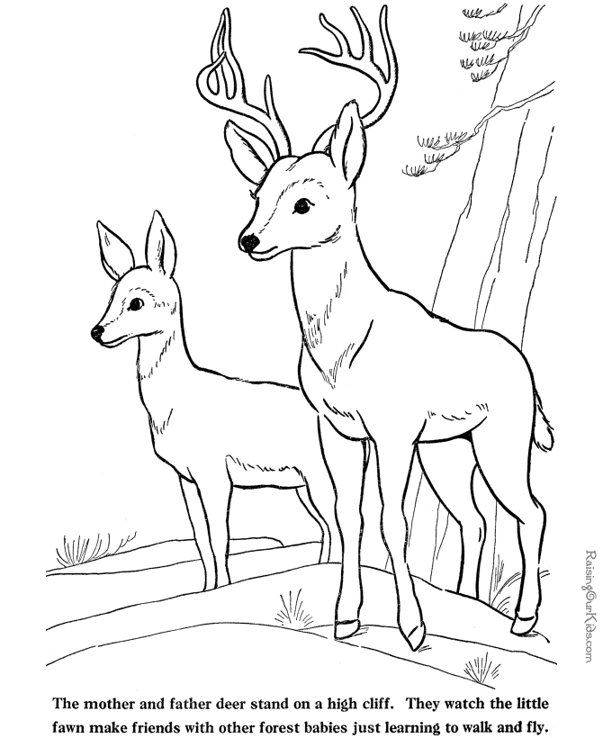 Fawn coloring #8, Download drawings