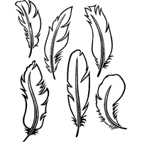 Feather coloring #13, Download drawings