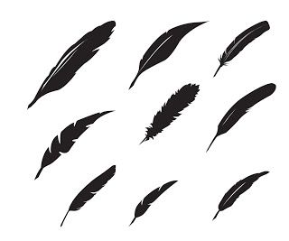 Feather svg #15, Download drawings