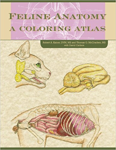 Feline coloring #14, Download drawings