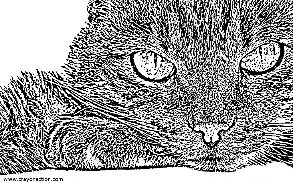 Feline coloring #16, Download drawings