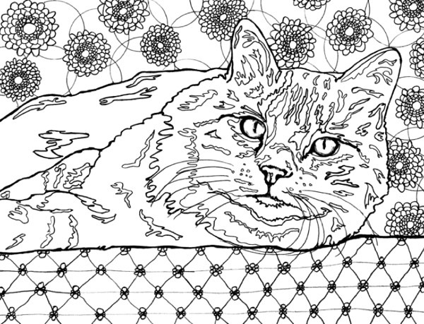 Feline coloring #20, Download drawings
