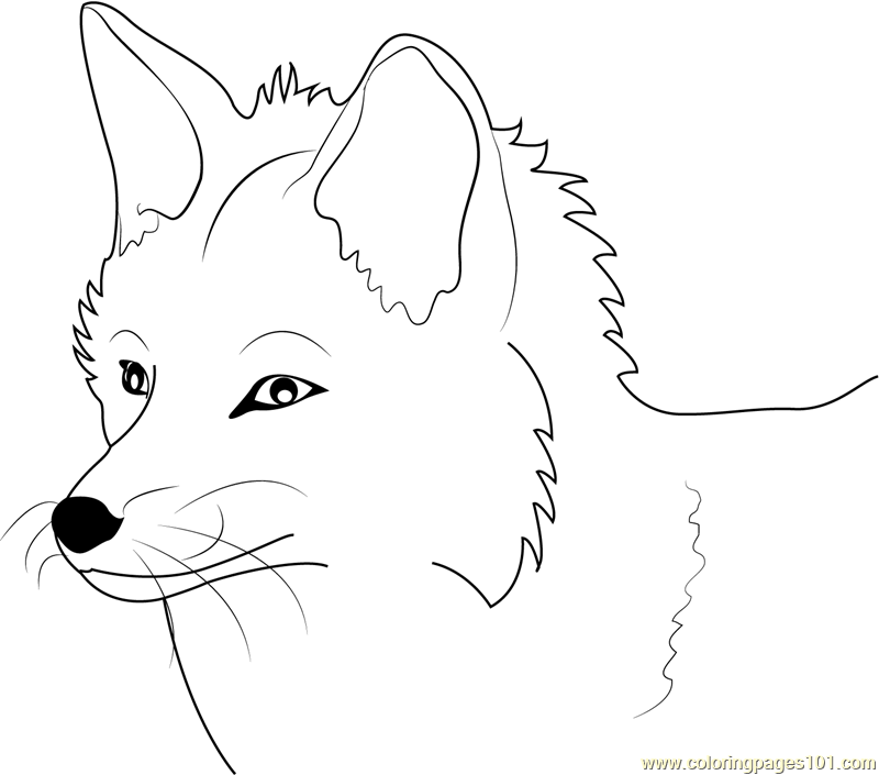Fennec Fox coloring #4, Download drawings