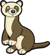 Ferret clipart #17, Download drawings
