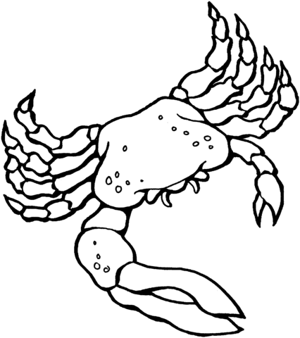 Fiddler Crab coloring #11, Download drawings