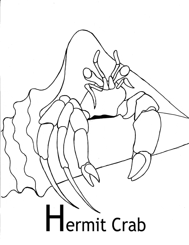 Fiddler Crab coloring #14, Download drawings