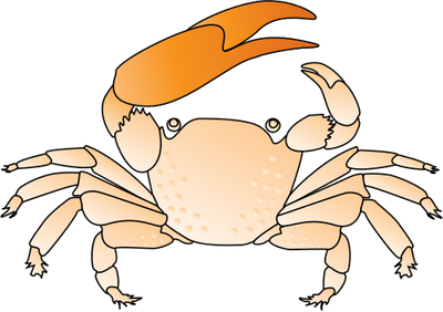 Fiddler Crab svg #19, Download drawings