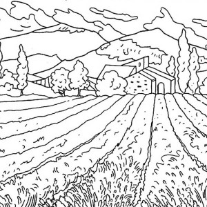 Field coloring #13, Download drawings