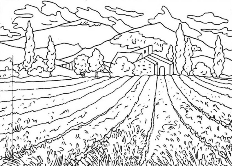 Field coloring #20, Download drawings