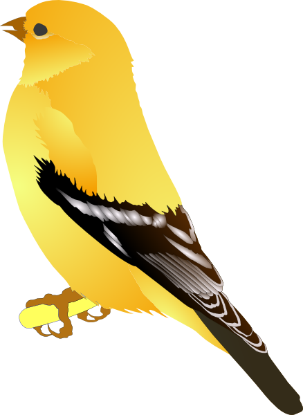 Goldfinch svg #18, Download drawings