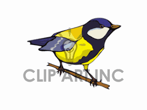 Finch clipart #16, Download drawings