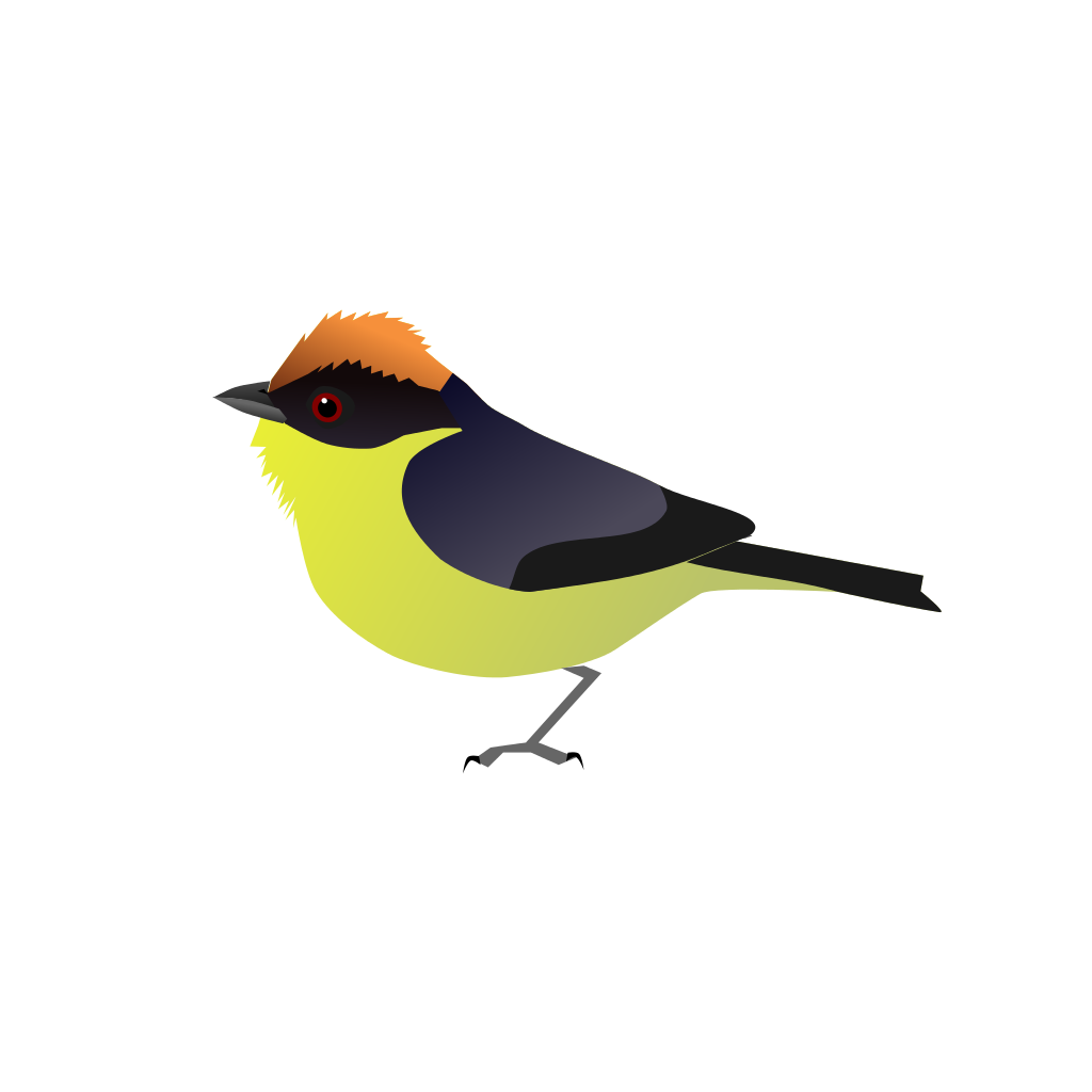 Finch svg #18, Download drawings