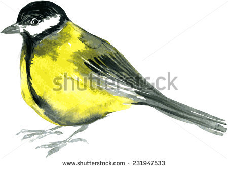 Goldfinch svg #4, Download drawings