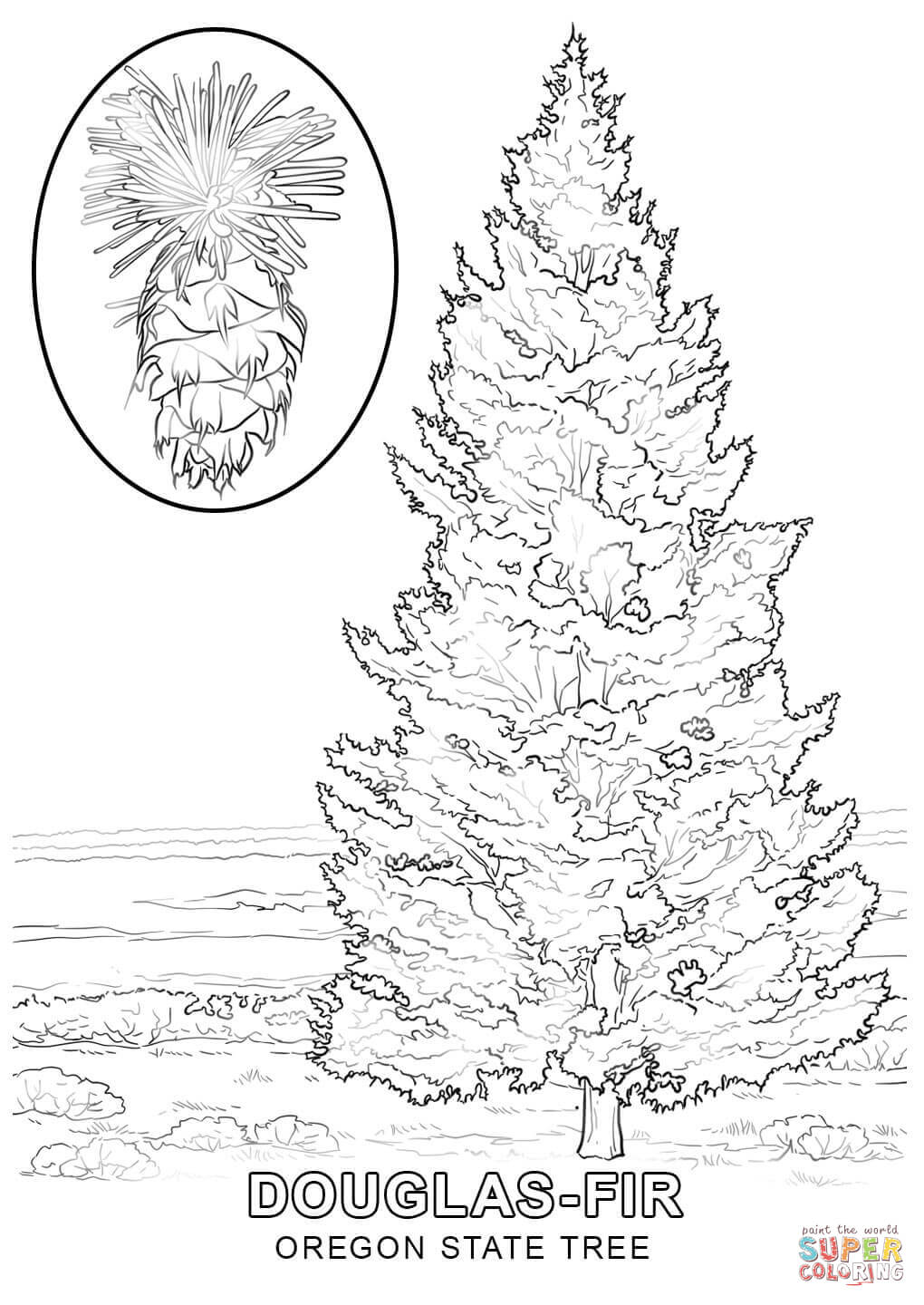 Fir Tree coloring #1, Download drawings