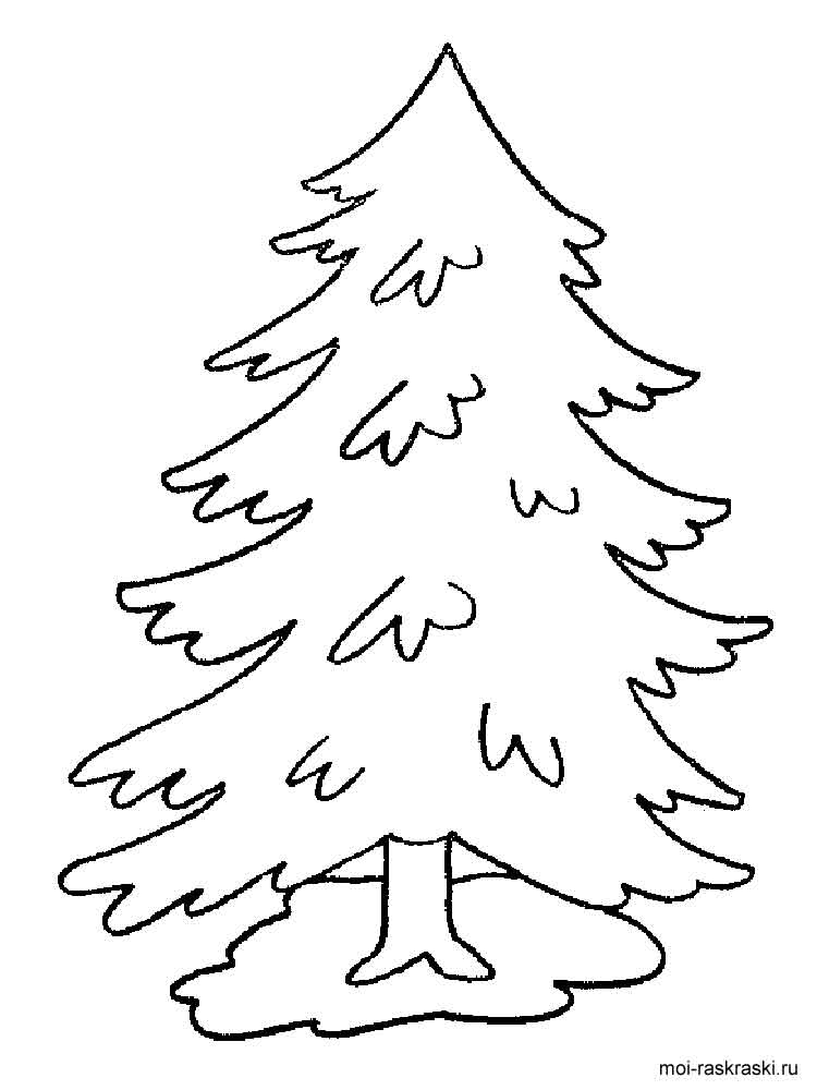 Fir Tree coloring #16, Download drawings