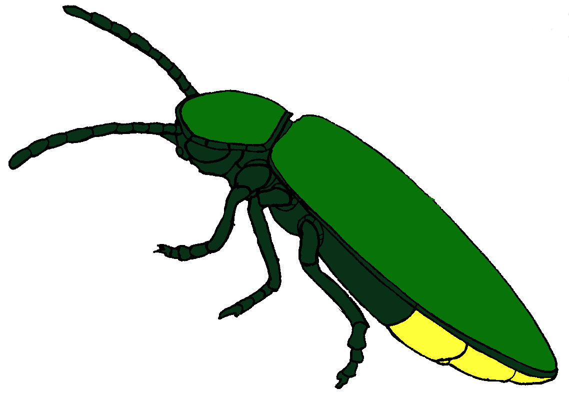 Firefly clipart #3, Download drawings