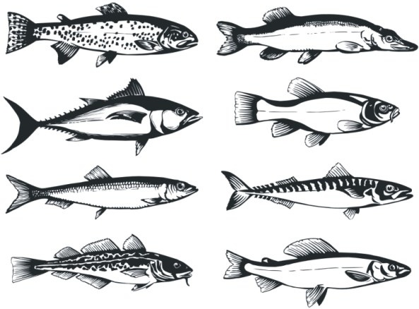 Fish svg #5, Download drawings