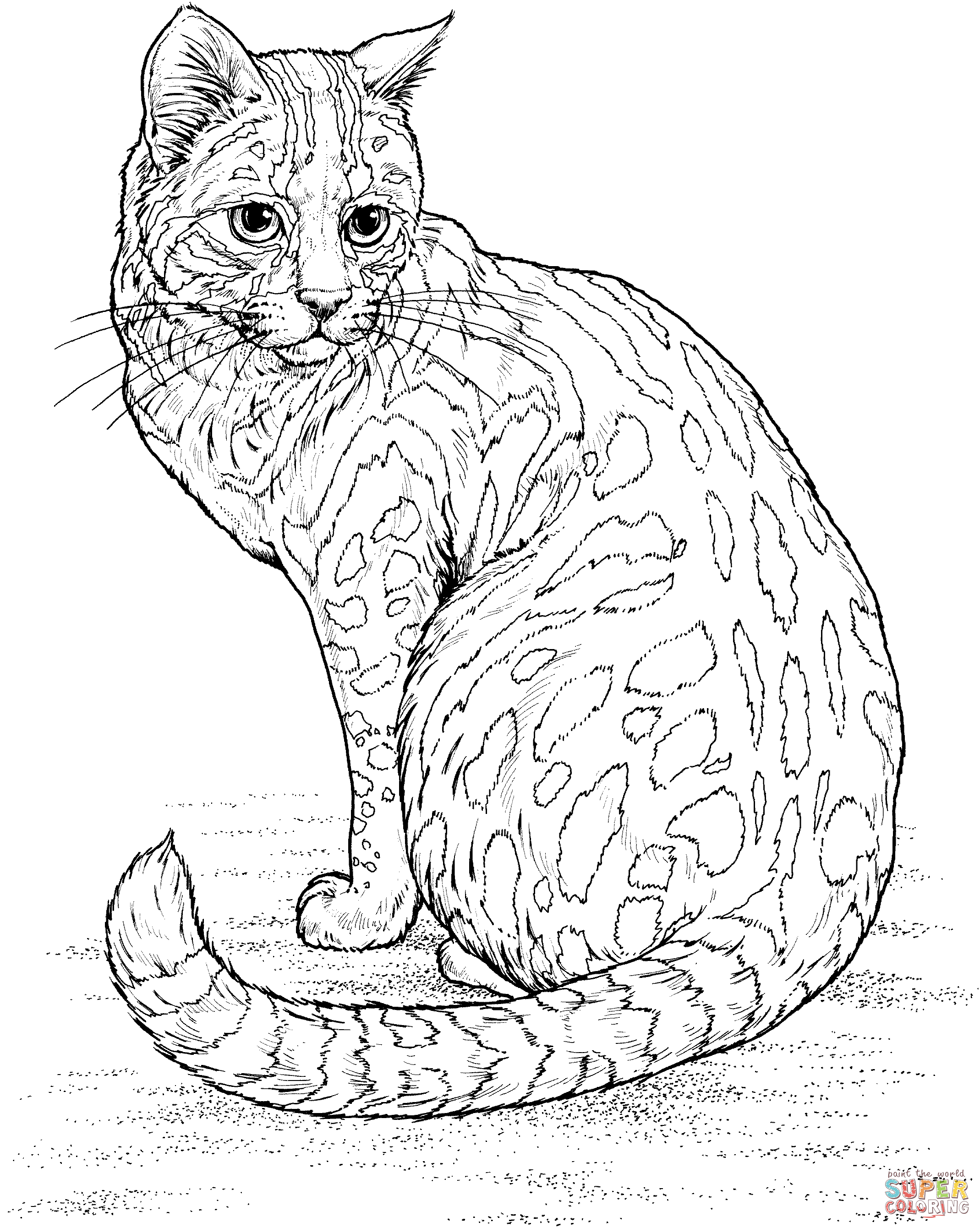Fishing Cat coloring #17, Download drawings