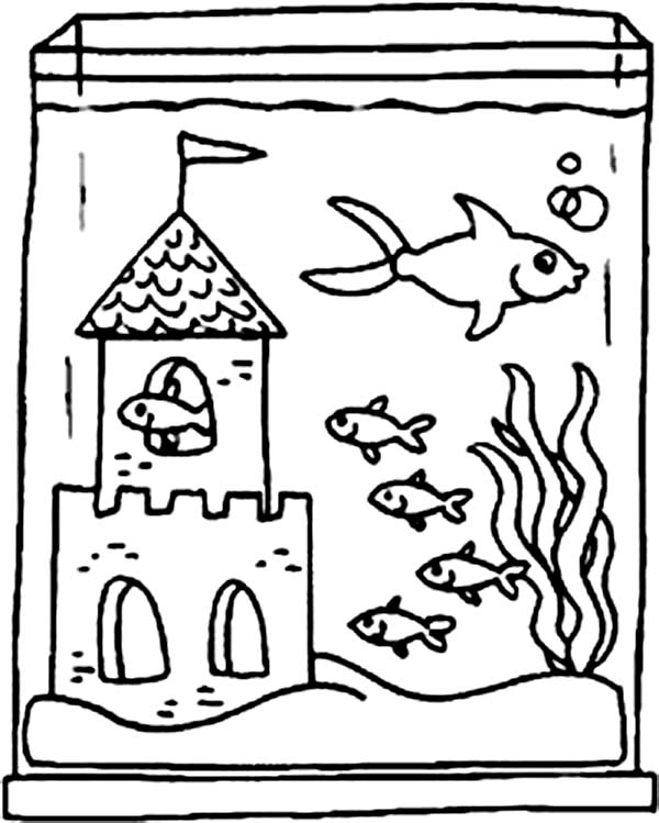 Fishtank coloring #20, Download drawings