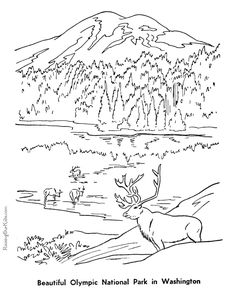 Fjords National Park coloring #17, Download drawings
