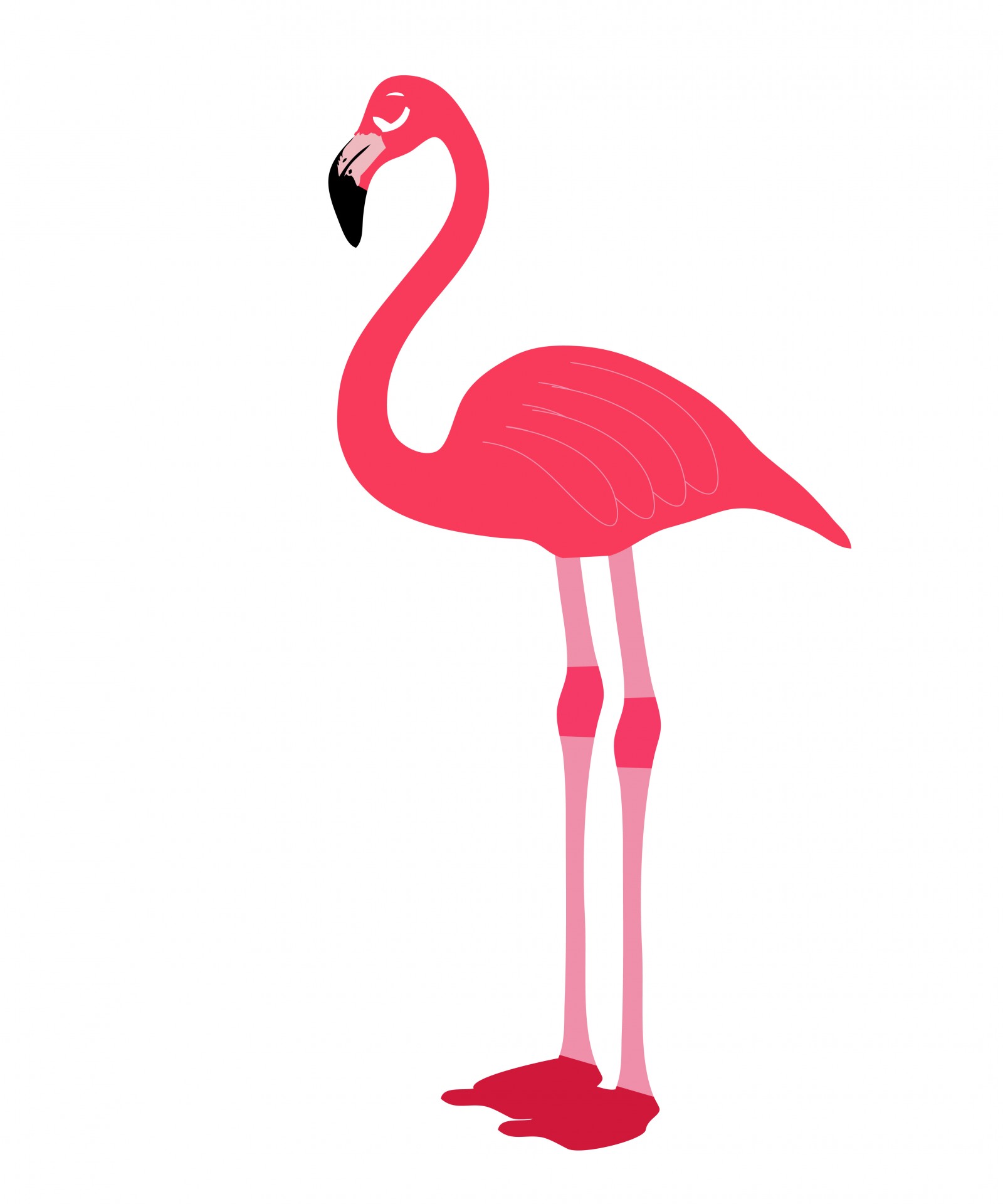 Flamingo clipart #5, Download drawings