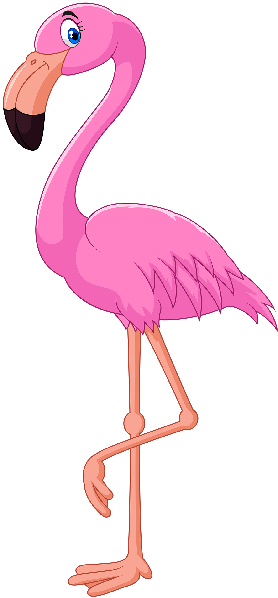 Flamingo clipart #12, Download drawings