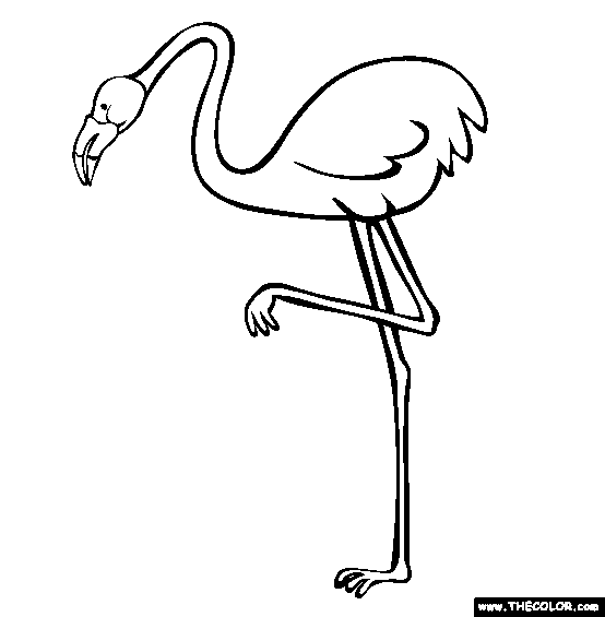 Flamingo coloring #4, Download drawings