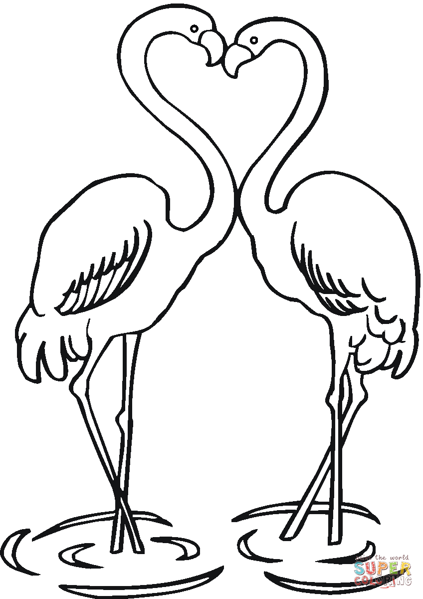 Flamingo coloring #7, Download drawings