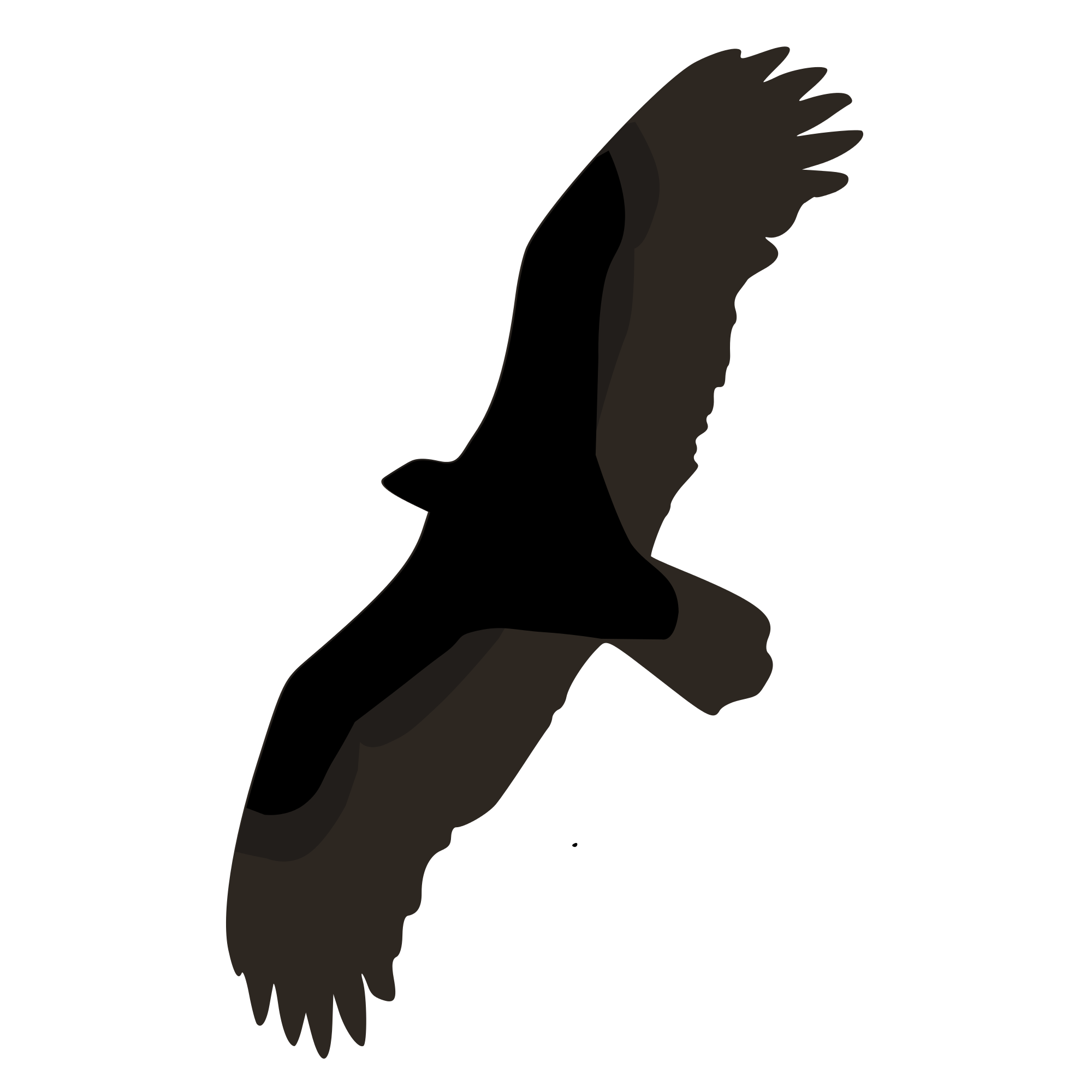 Turkey Vulture svg #19, Download drawings