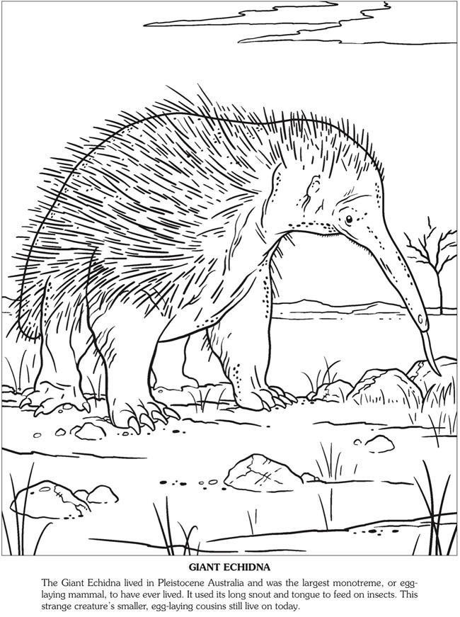 Flinders Ranges coloring #5, Download drawings