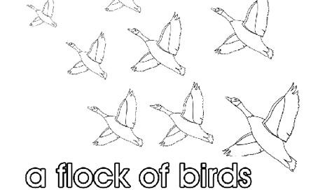 Flock Of Birds coloring #18, Download drawings