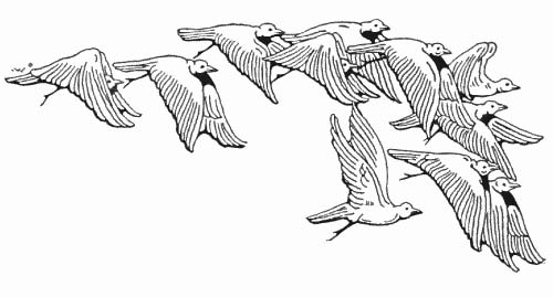 Flock Of Birds coloring #16, Download drawings