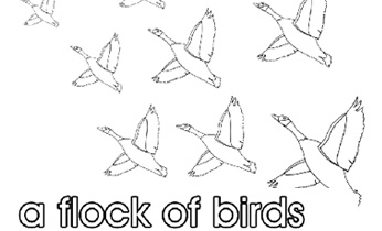 Flock Of Birds coloring #5, Download drawings