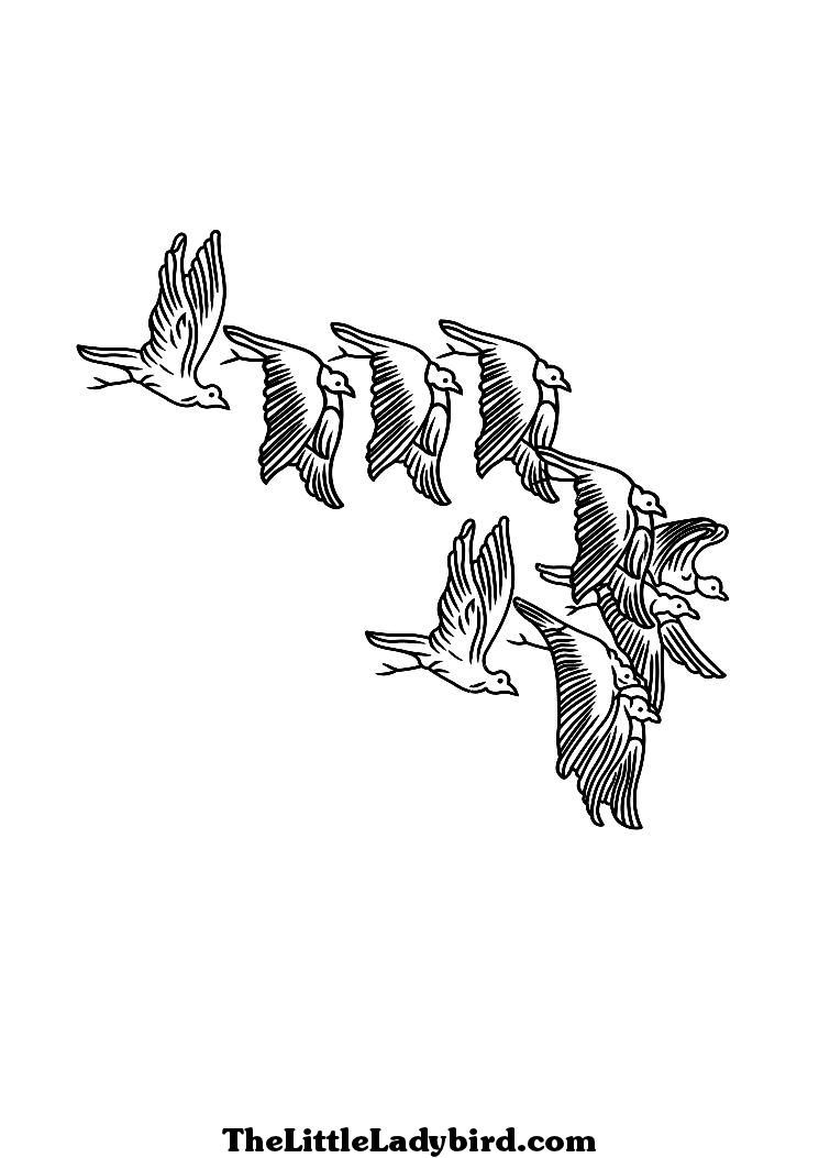 Flock Of Birds coloring #7, Download drawings