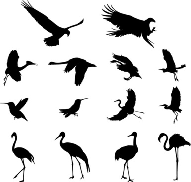 Flock Of Birds svg #18, Download drawings