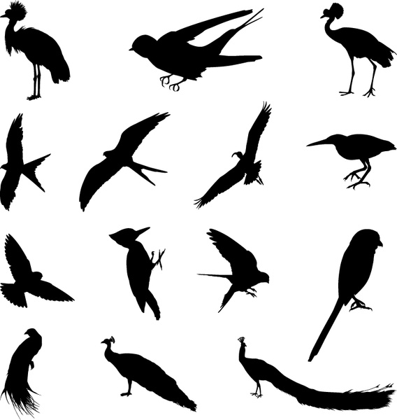 Flock Of Birds svg #17, Download drawings