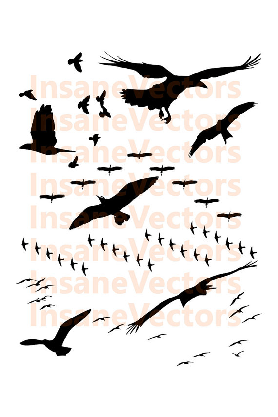 Flock Of Birds svg #15, Download drawings