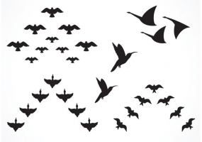 Flock Of Birds svg #2, Download drawings