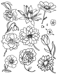 Floral coloring #15, Download drawings