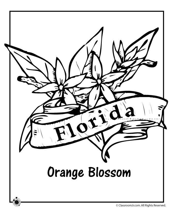 Florida coloring #20, Download drawings