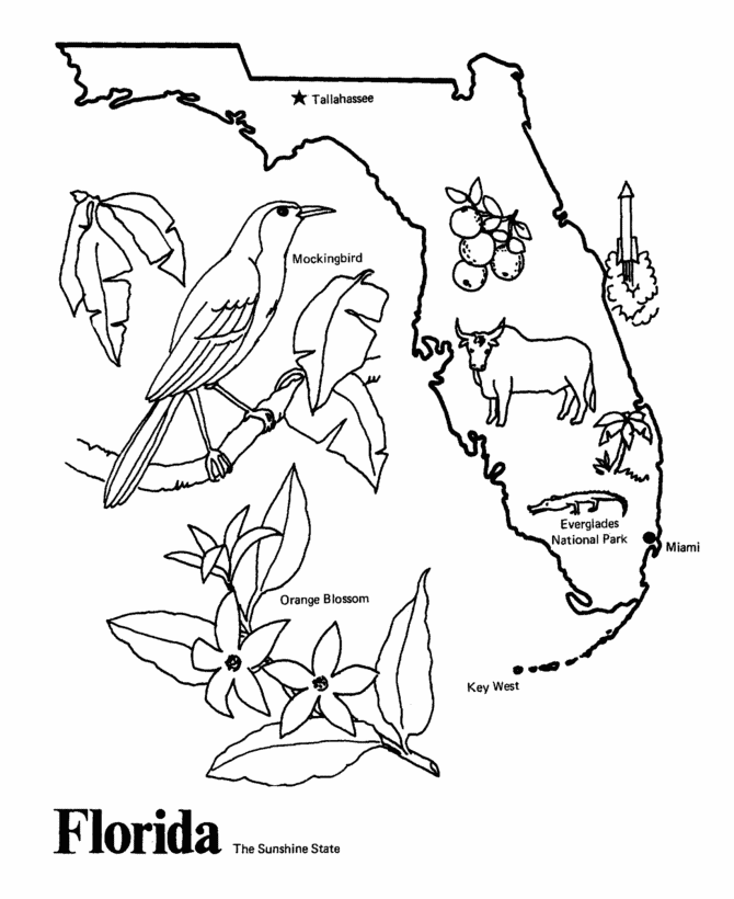 Florida coloring #7, Download drawings