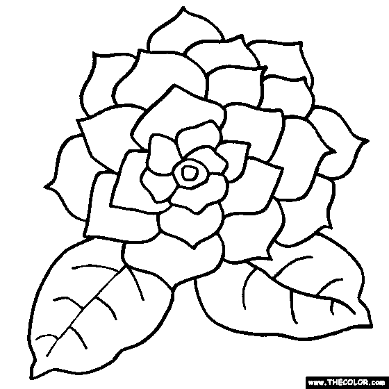 Gardenia coloring #20, Download drawings